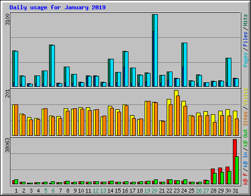 Daily usage for January 2019