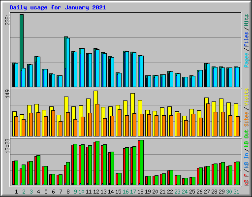 Daily usage for January 2021