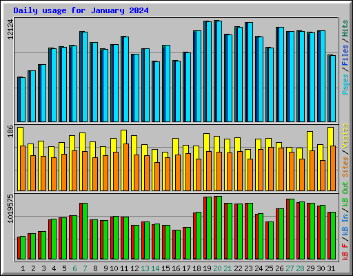 Daily usage for January 2024