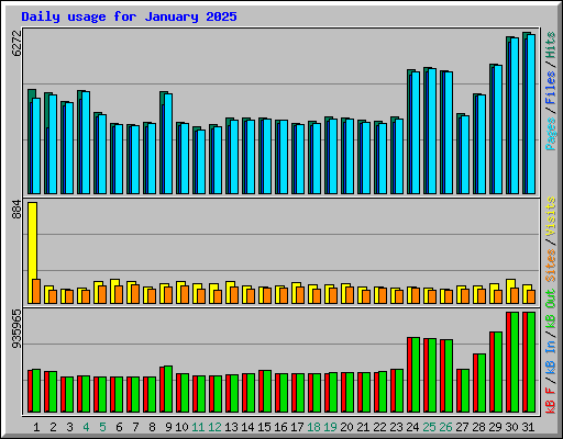Daily usage for January 2025