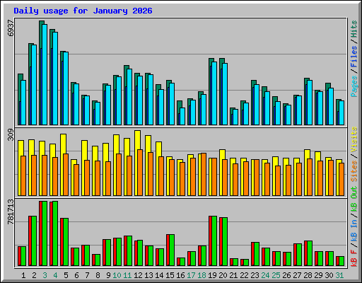 Daily usage for January 2026