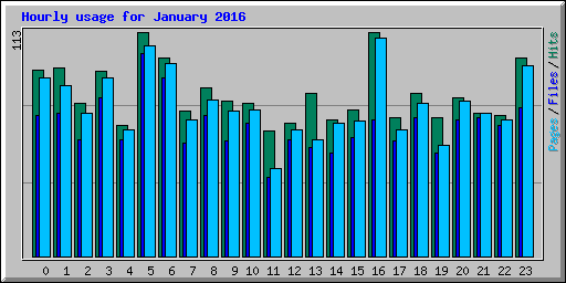 Hourly usage for January 2016
