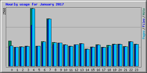 Hourly usage for January 2017