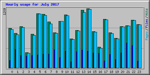 Hourly usage for July 2017