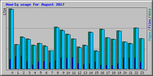 Hourly usage for August 2017