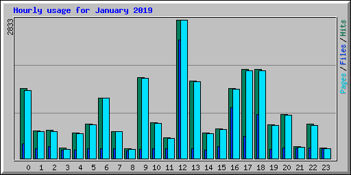 Hourly usage for January 2019