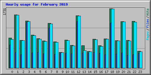 Hourly usage for February 2019
