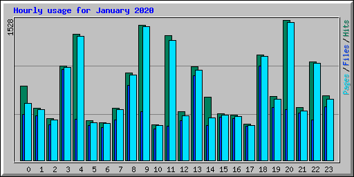 Hourly usage for January 2020