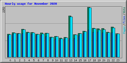 Hourly usage for November 2020