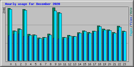 Hourly usage for December 2020