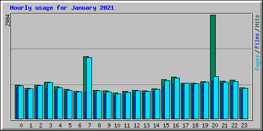 Hourly usage for January 2021