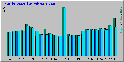 Hourly usage for February 2021