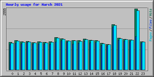 Hourly usage for March 2021