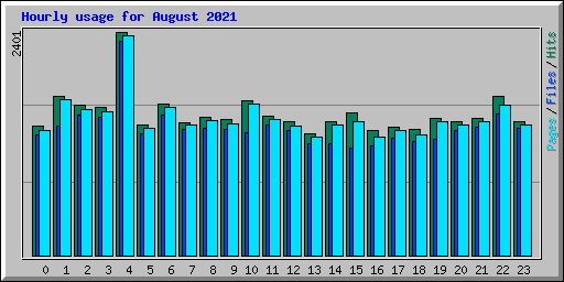 Hourly usage for August 2021