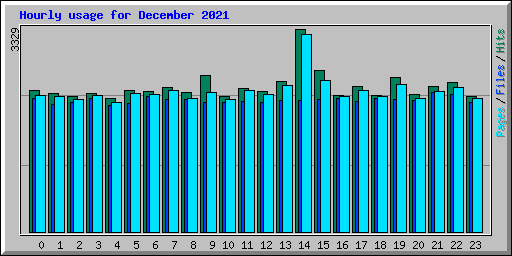 Hourly usage for December 2021