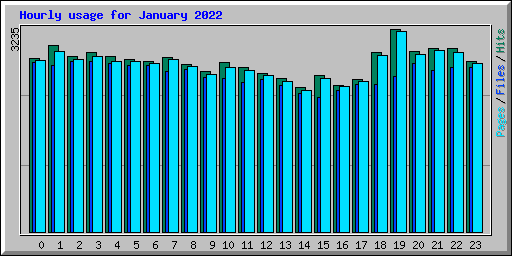 Hourly usage for January 2022