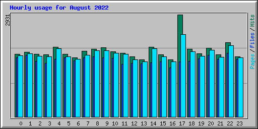 Hourly usage for August 2022