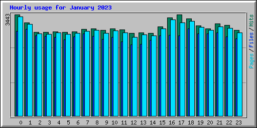 Hourly usage for January 2023
