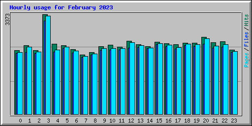 Hourly usage for February 2023
