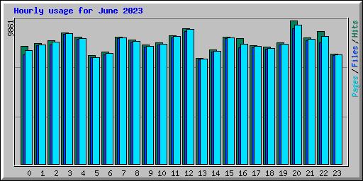 Hourly usage for June 2023