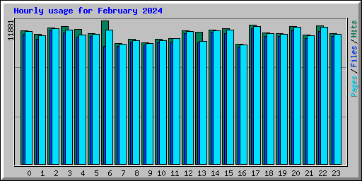 Hourly usage for February 2024