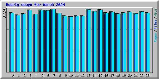 Hourly usage for March 2024