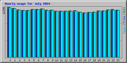 Hourly usage for July 2024
