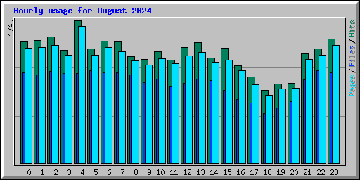 Hourly usage for August 2024