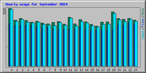 Hourly usage for September 2024