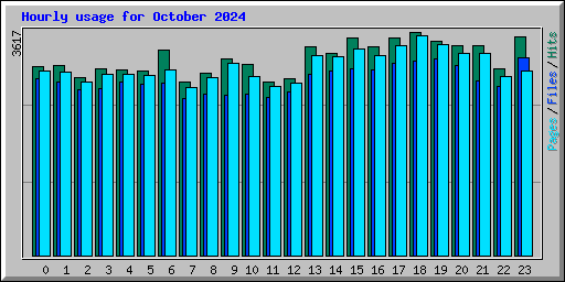 Hourly usage for October 2024