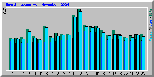 Hourly usage for November 2024