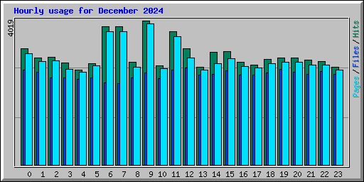 Hourly usage for December 2024