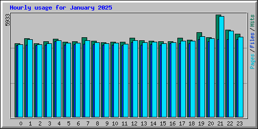 Hourly usage for January 2025