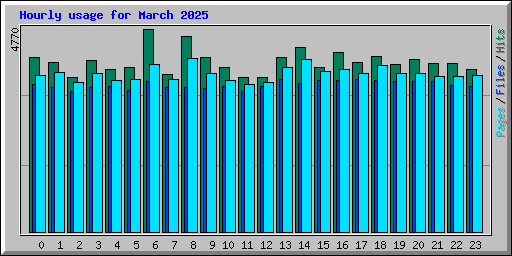 Hourly usage for March 2025