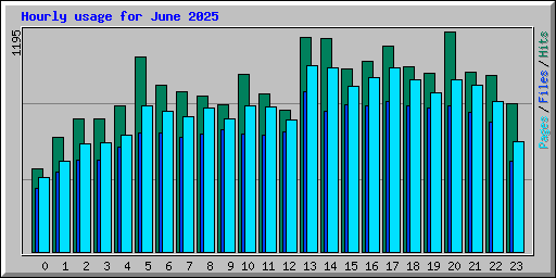 Hourly usage for June 2025