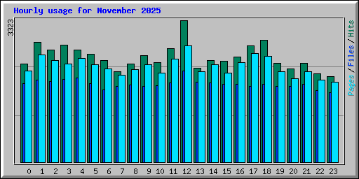 Hourly usage for November 2025